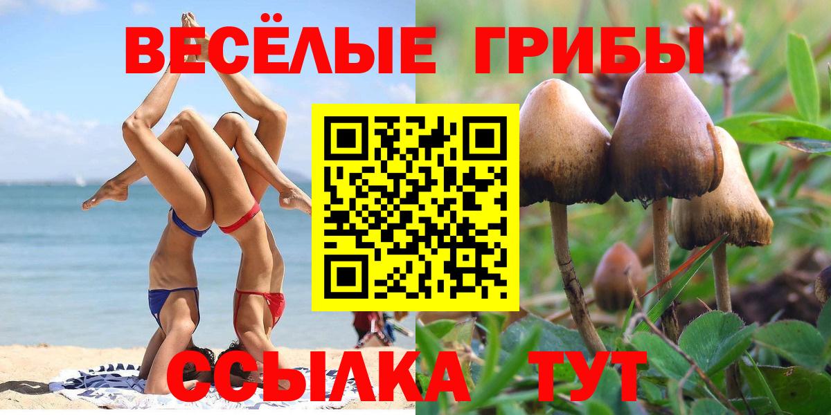 Фурманов  Псилоцибиновые грибы Psilocybe  Вход с VPN  купить  сайты  Псилоцибиновые грибы GOLDEN TEACHER 